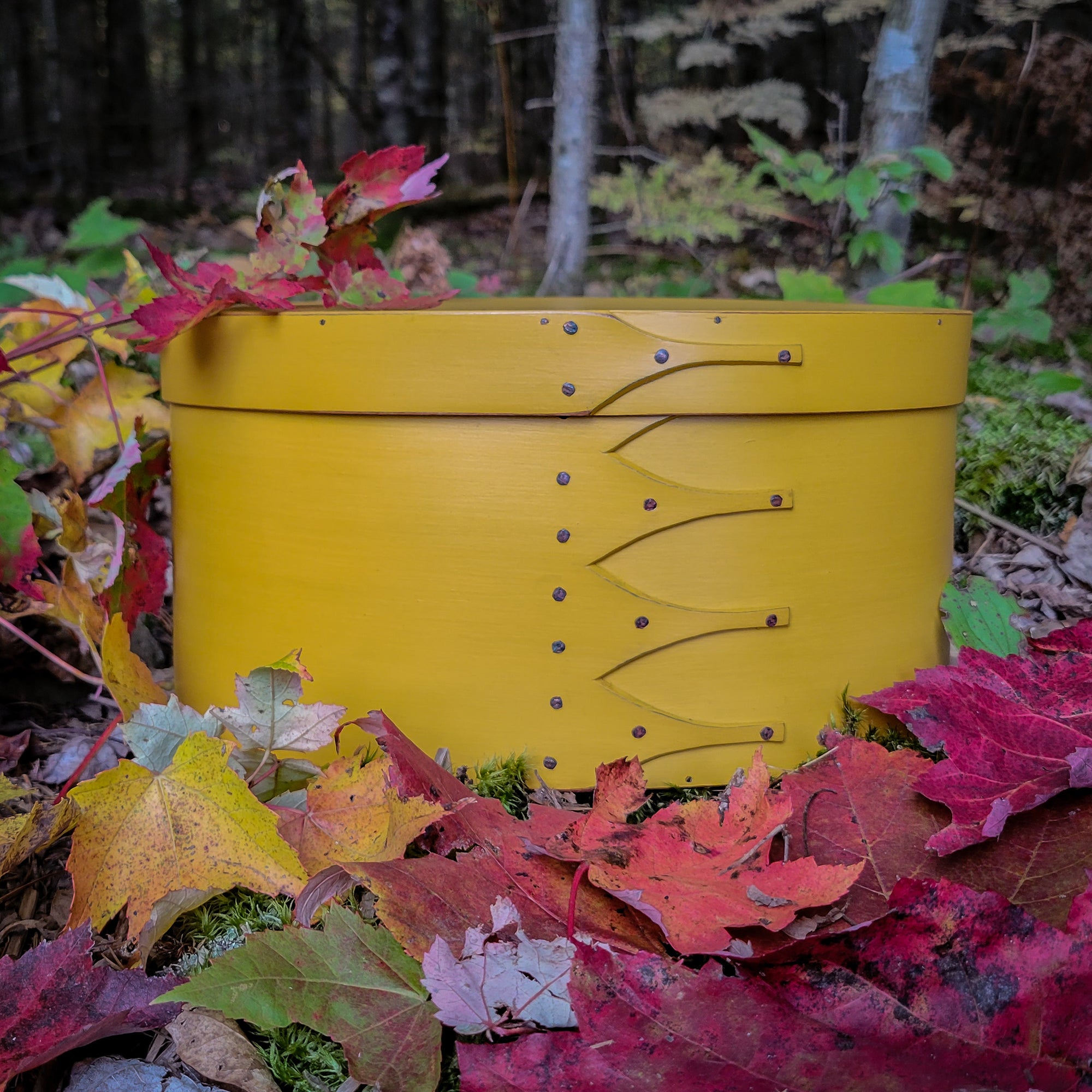 Shaker Oval Box, Size #5 Tall, LeHays Shaker Boxes, Handcrafted in Maine.  Yellow Milk Paint Finish, Front View