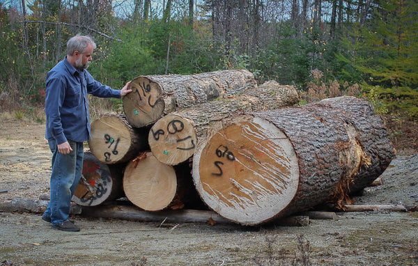 Robert LeHay with Logs for Shaker Oval Boxes and Needlework Boxes. LeHay’s Shaker Boxes.